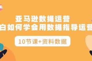 （10158期）亚马逊数据运营，小白如何学会用数据指导运营（10节课+资料数据）