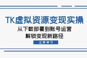 （12770期）TK虚拟资源变现实操：从下载部署到账号运营，解锁变现新路径