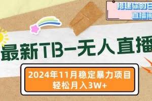 （13243期）最新TB-无人直播 11月最新，打造你的日不落直播间，轻松月入3W+