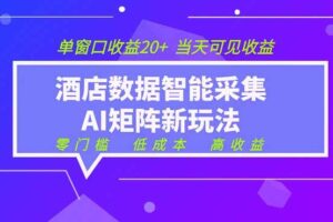 （19041期）2026酒店数据采集ai智能矩阵新风口  低成本   高收益   当天见收益   单窗口20+