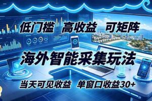 （18955期）海外智能采集玩法，低门槛高单价可矩阵，当天可见收益，单窗口30+