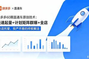 （18921期）拼多多60期直通车原创技术：极速起量+计划矩阵群爆+全店托管，投产不稳的终极解法