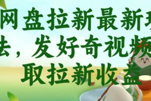 （18917期）网盘拉新最新玩法，发好奇视频获取拉新收益