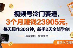 （18799期）视频号冷门赛道，3个月变现23905元，新手2天学会 每天操作30分钟！