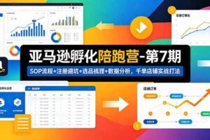 （18752期）亚马逊孵化陪跑营-第7期：SOP流程+注册避坑+选品梳理+数据分析，千单店铺实战打法