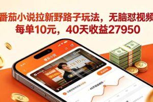 （18751期）番茄小说拉新野路子玩法，无脑怼视频，每单10元，40天收益27950