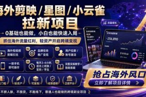 （18567期）海外剪映 / 星图 / 小云雀拉新项目 普通人也能上手的跨境流量变现副业