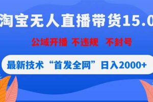 （18562期）淘宝无人直播带货15.0，不封号，不违规，公域玩法，首发全网日入2000+