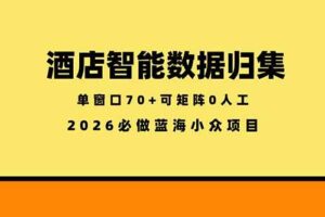 （18500期）酒店智能数据归集，小众蓝海已经稳定半年之久，单窗口70+零成本矩阵开干
