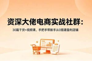 （18529期）资深大佬电商实战社群：30篇干货+视频课，手把手带新手从0搭建盈利店铺