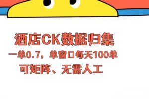 （18350期）上班也能玩的酒店CK数据归集，一单0.7单窗口每天可做100单，一个人就能矩阵操作