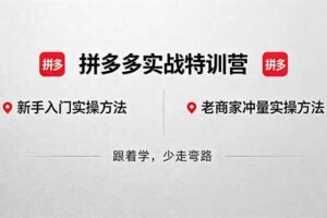 （18309期）拼多多实战特训营(更新5月3)：不管是新手入门或老商家冲量，都有实操方法，跟着学，少走弯路